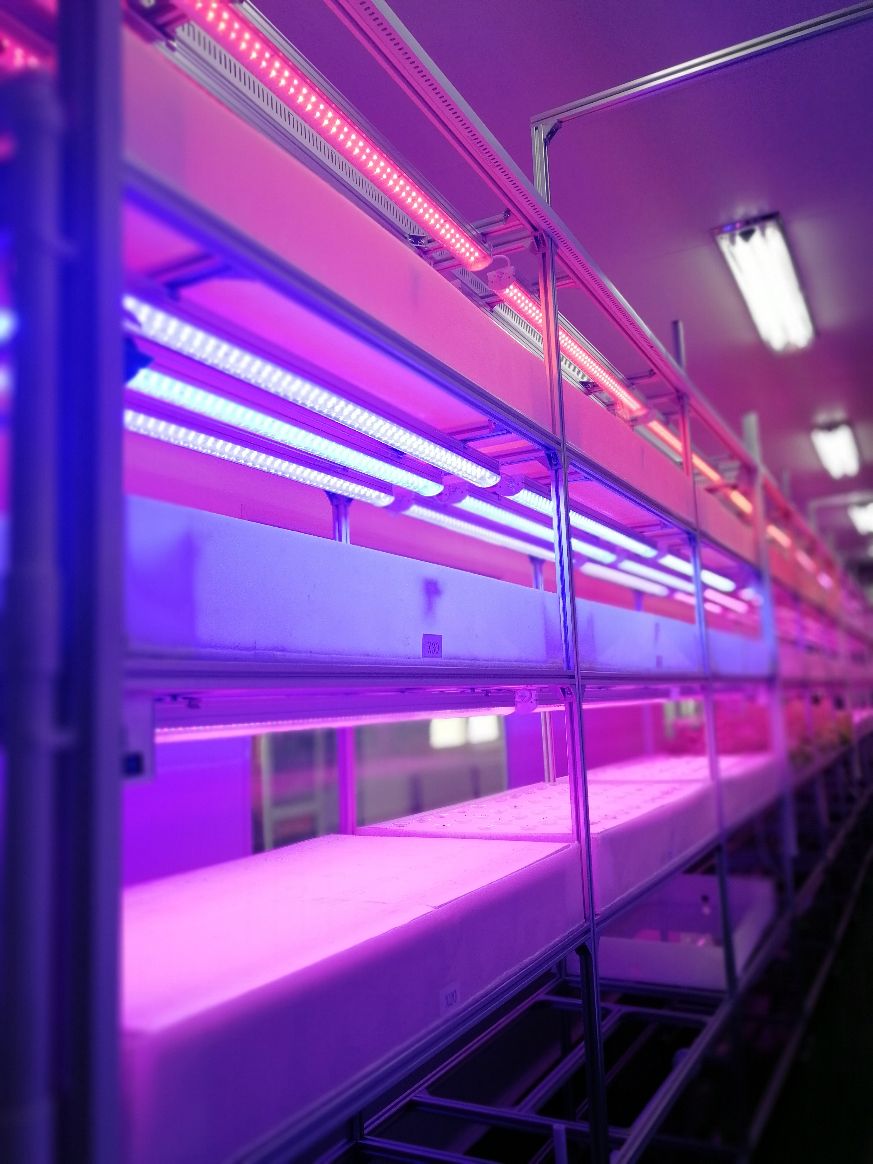 LED生物农业
